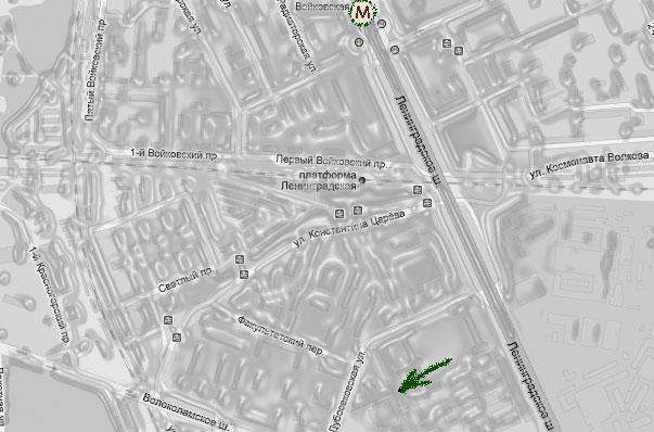 ���� live music hall